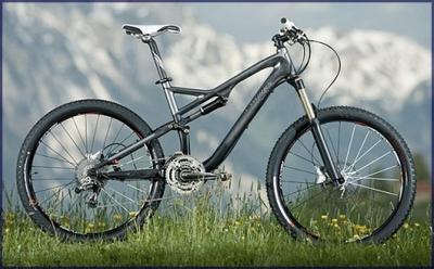 Analisis Gama Specialized 2010